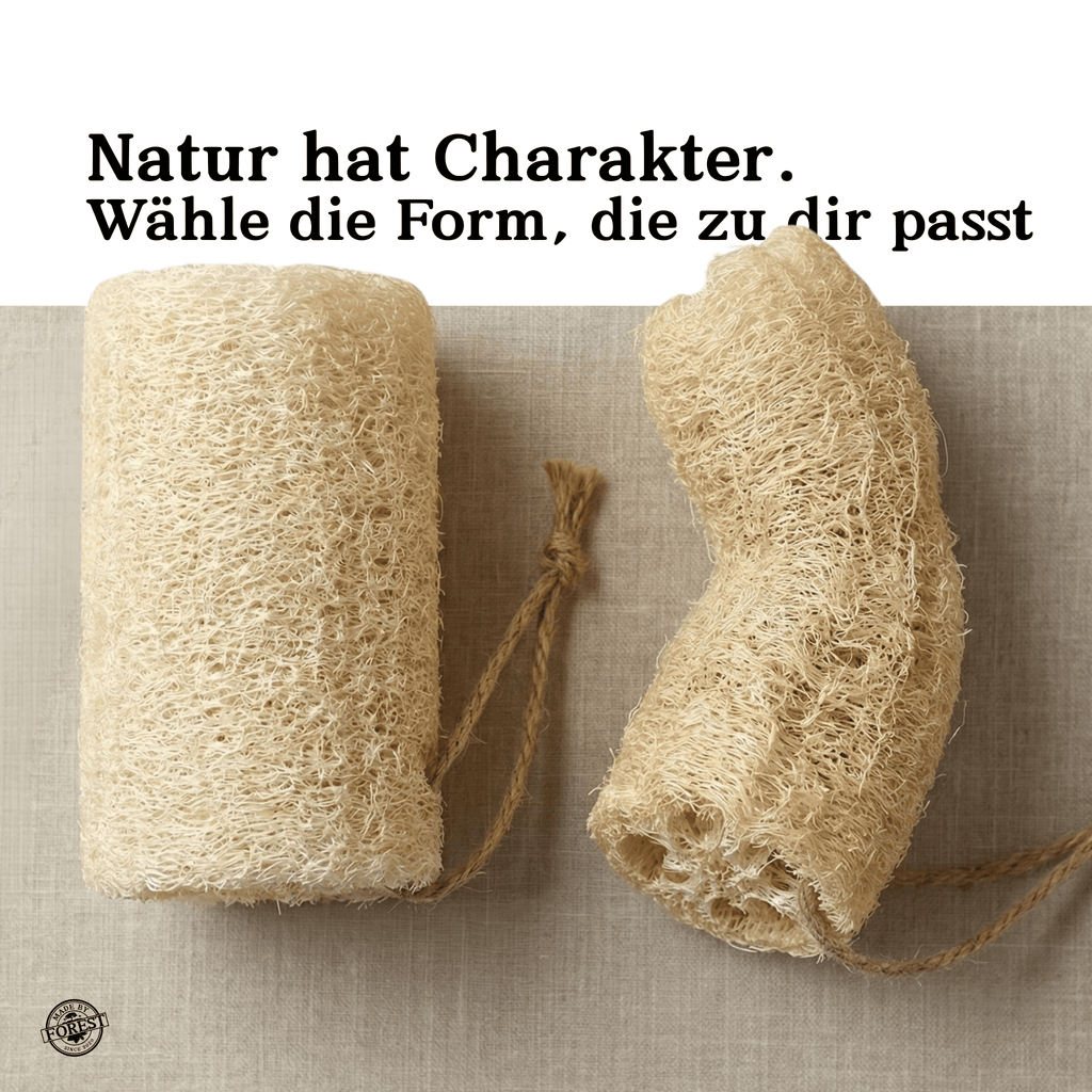 Natürlicher Luffa-Schwamm aus dem Amazonas (Mato Grosso)