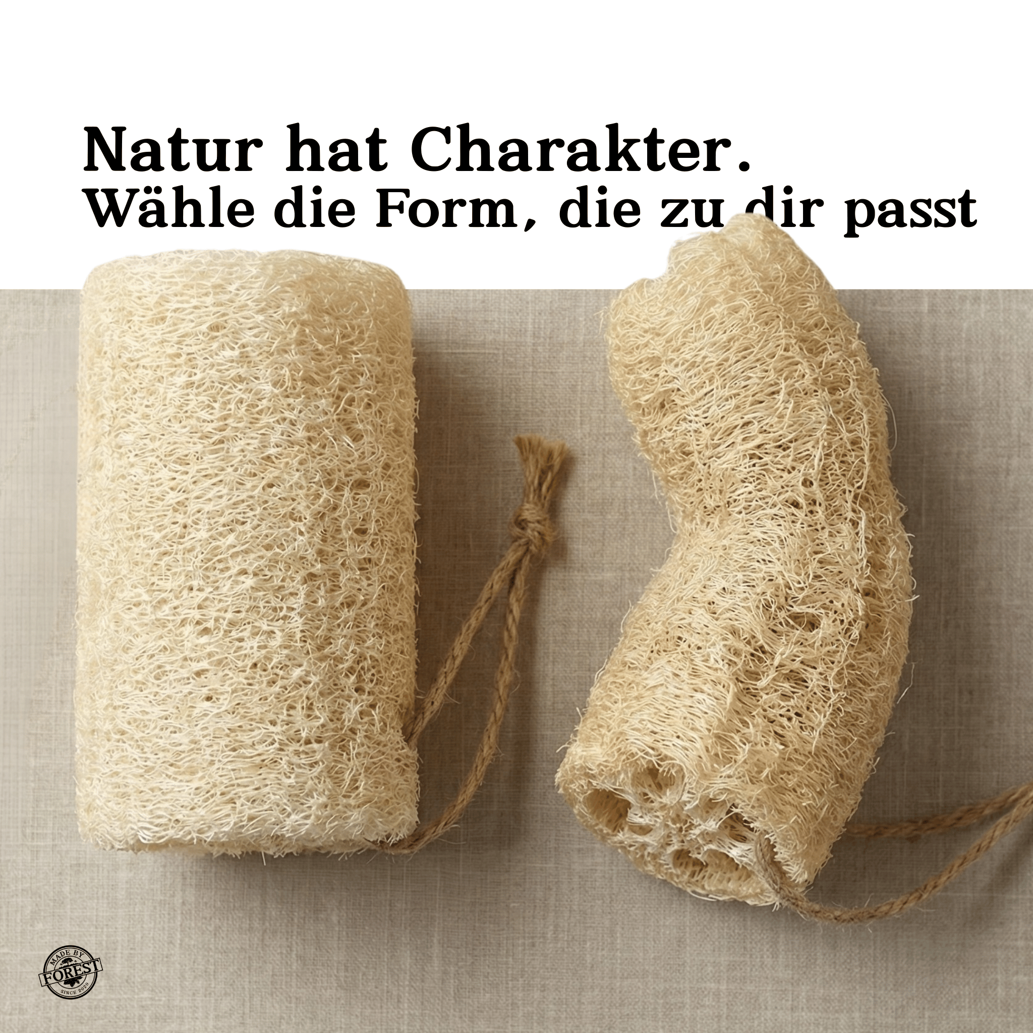 Natürlicher Luffa-Schwamm aus dem Amazonas (Mato Grosso)