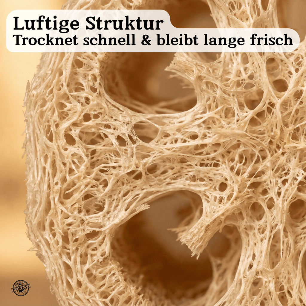 Natürlicher Luffa-Schwamm aus dem Amazonas (Mato Grosso)