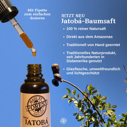 Jatobá Öl Baumsaft - Copal Baumwasser - Hymenea Coubaril - Aus dem brasilianischen Amazonas