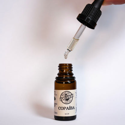 Copaíba Öl direkt aus dem Regenwald - Amazonas, Brasilien - 15ml